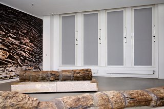 Raum, dessen Fenster mit Verdunkelungsanlagen von Erfal ausgestattet sind